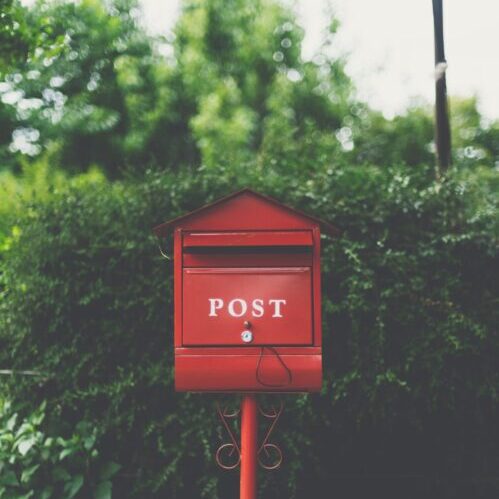 Newsletter